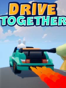 Drive Together Standart PC