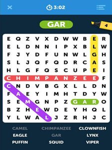 Infinite Word Search Puzzles